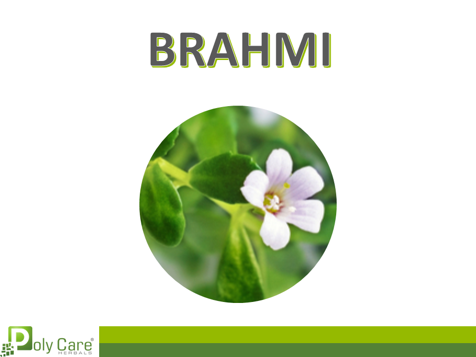 Brahmi - Memory Enhancer