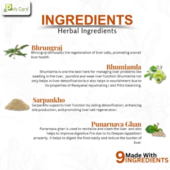 Lev on tablet Ingredients