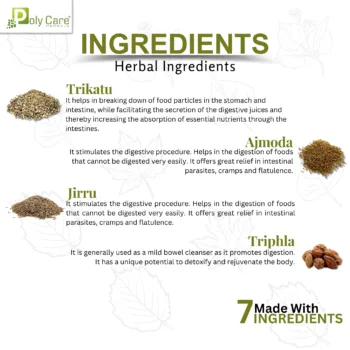 P Digest Capsule Ingredients