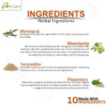 Lev on Syrup Ingredients