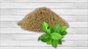 Gudmar (Gymnema sylvestre)