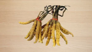 Berberis Aristata (Daru Haldi Ext.)