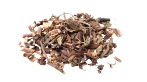 Bhringraj - Eclipta prostrata