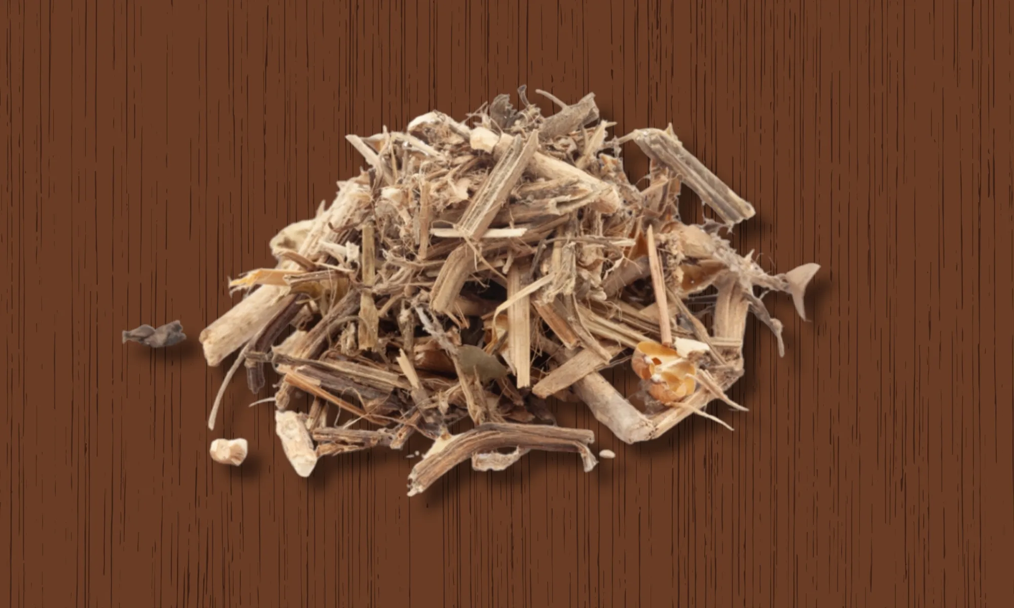 JIVANTI (Leptadenia reticulata)