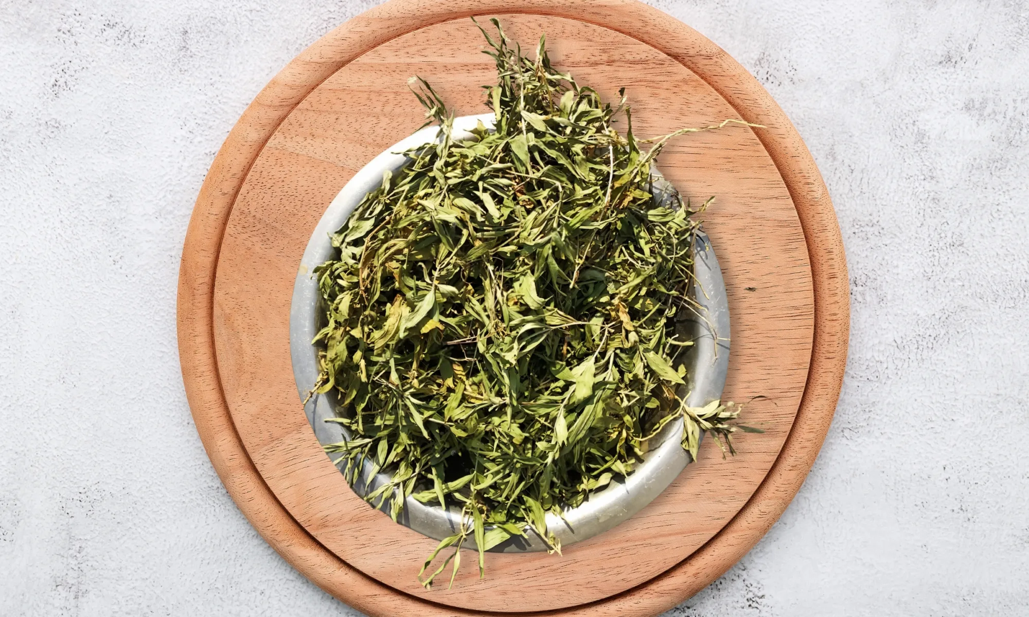 MAMEJVA (Enicostemma littorale)