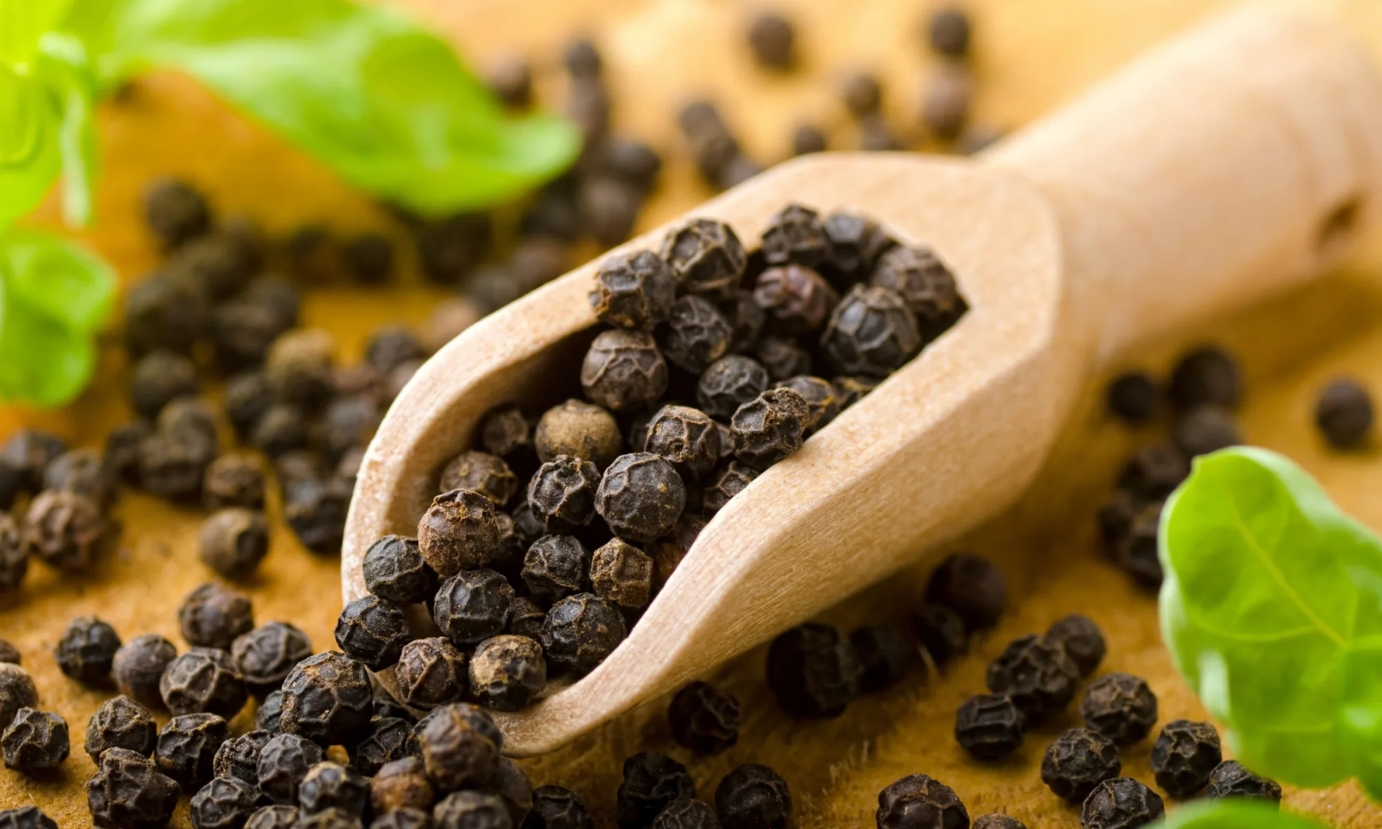 Black Pepper / Mari (Piper nigrum)