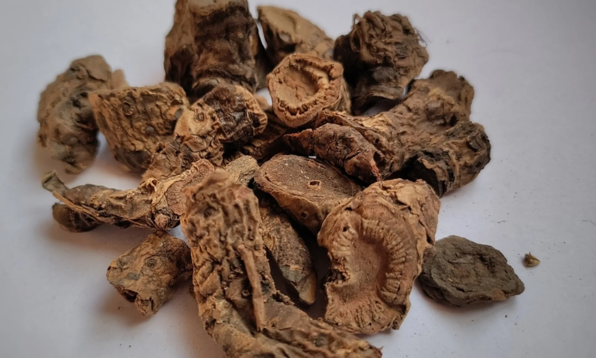 PASHANBHED (Bergenia ligulata)