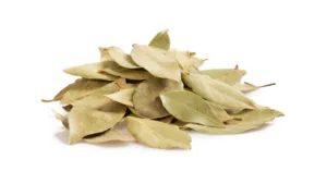 RASNA (Pluchea lanceolata)