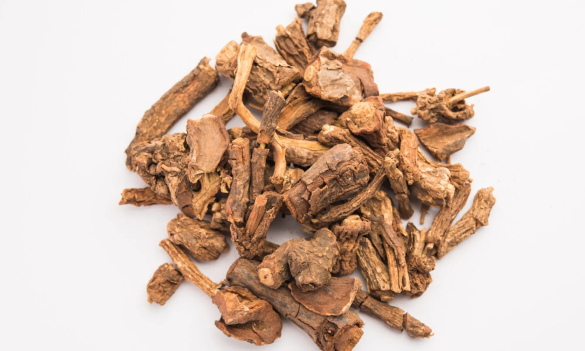 Sariva - Hemidesmus indicus