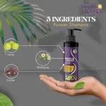seeds nd leaves purean shampoo