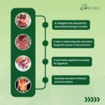 GAS-O-FORTE TABLET