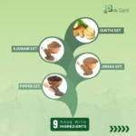 GAS-O-FORTE TABLET