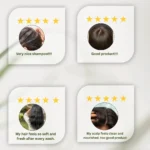 seeds n leaves shampoo