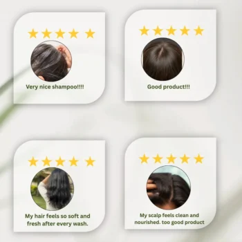 seeds n leaves shampoo