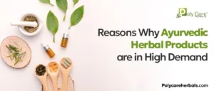 Ayurvedic Herbal Products