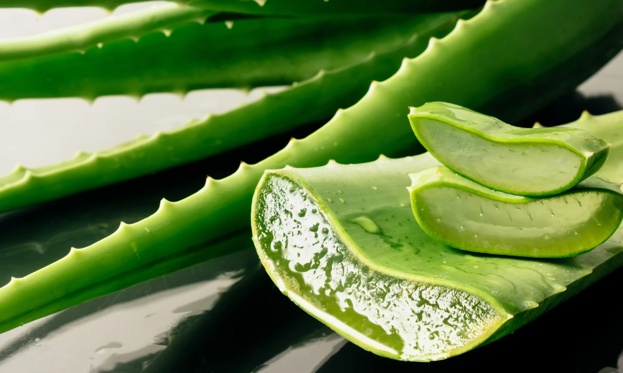 aloe vera