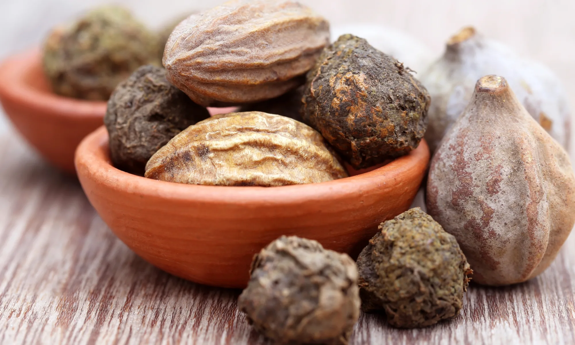 Harde - Terminalia chebula