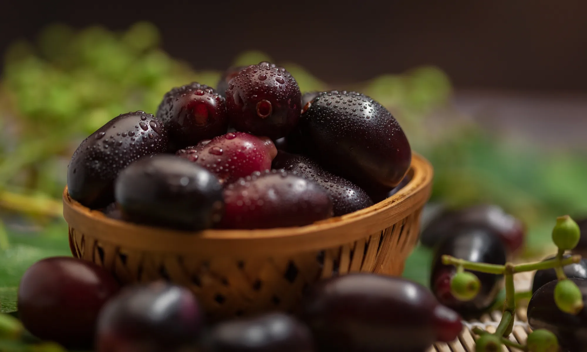 jamun beej - Syzygium cumini