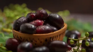 jamun beej - Syzygium cumini