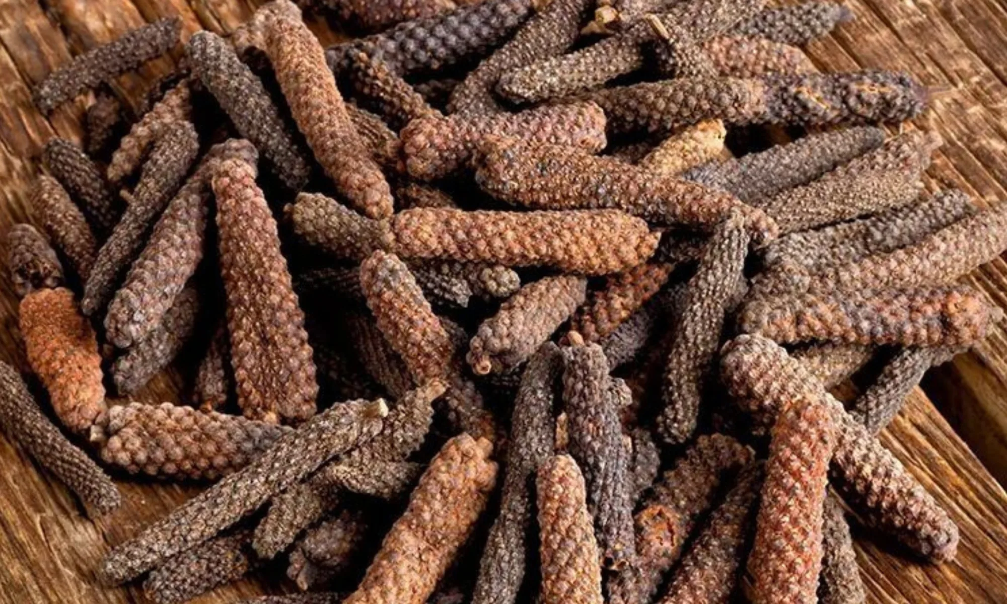 piper - Piper nigrum