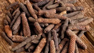 piper - Piper nigrum