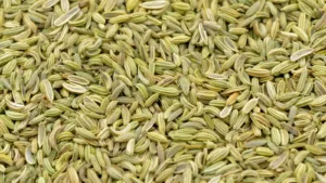 fennel