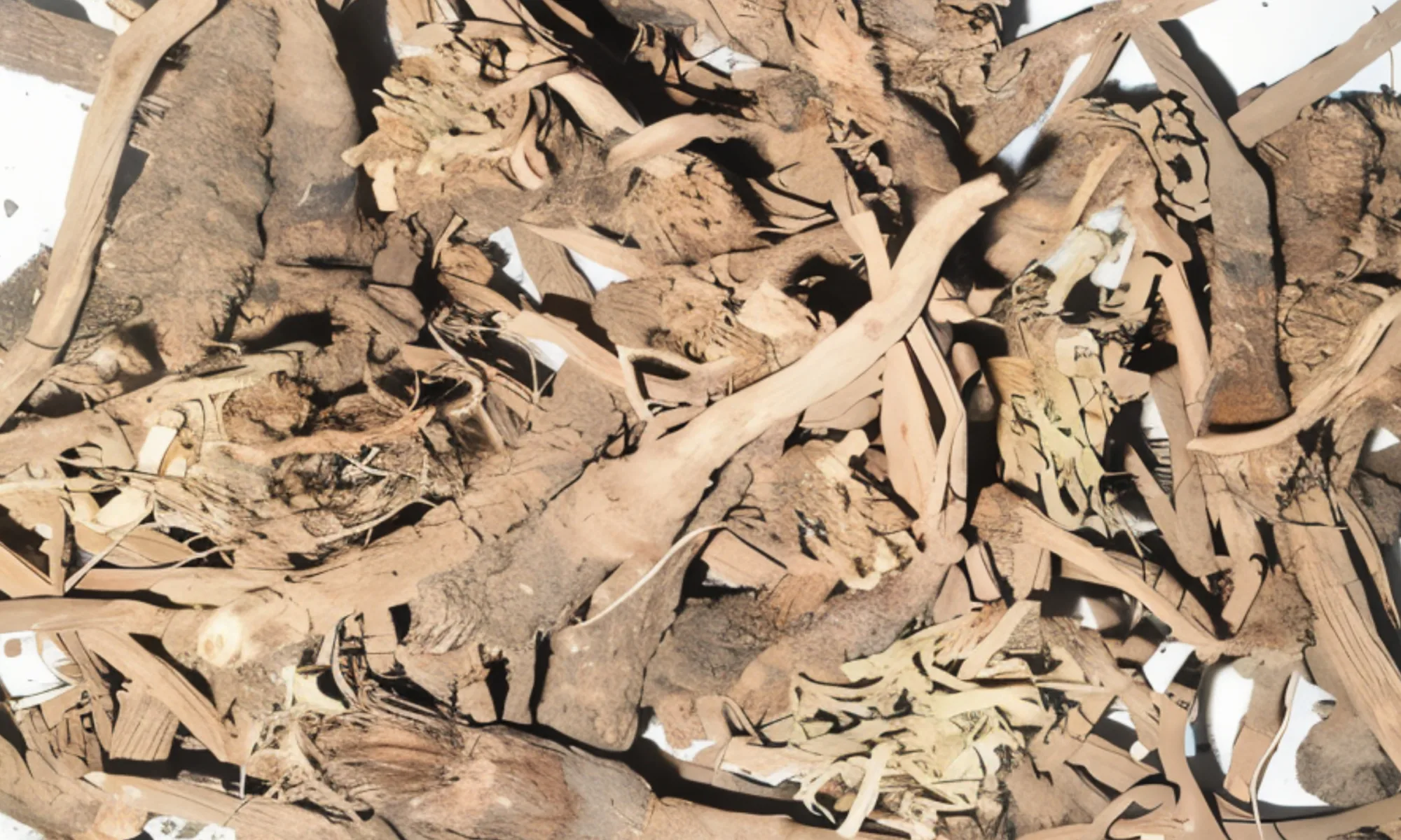 AKKALKARO (Anacyclus pyrethrum)