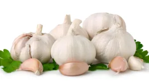 Garlic (Allium sativum)