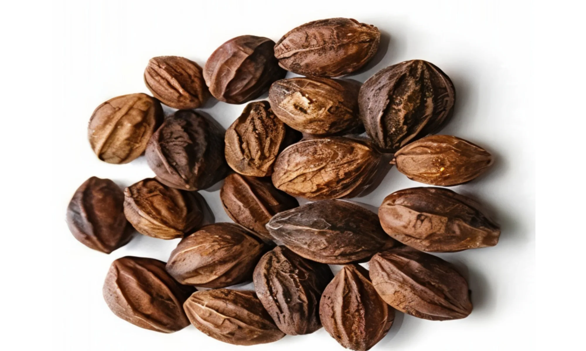 HARITAKI (Terminalia chebula)