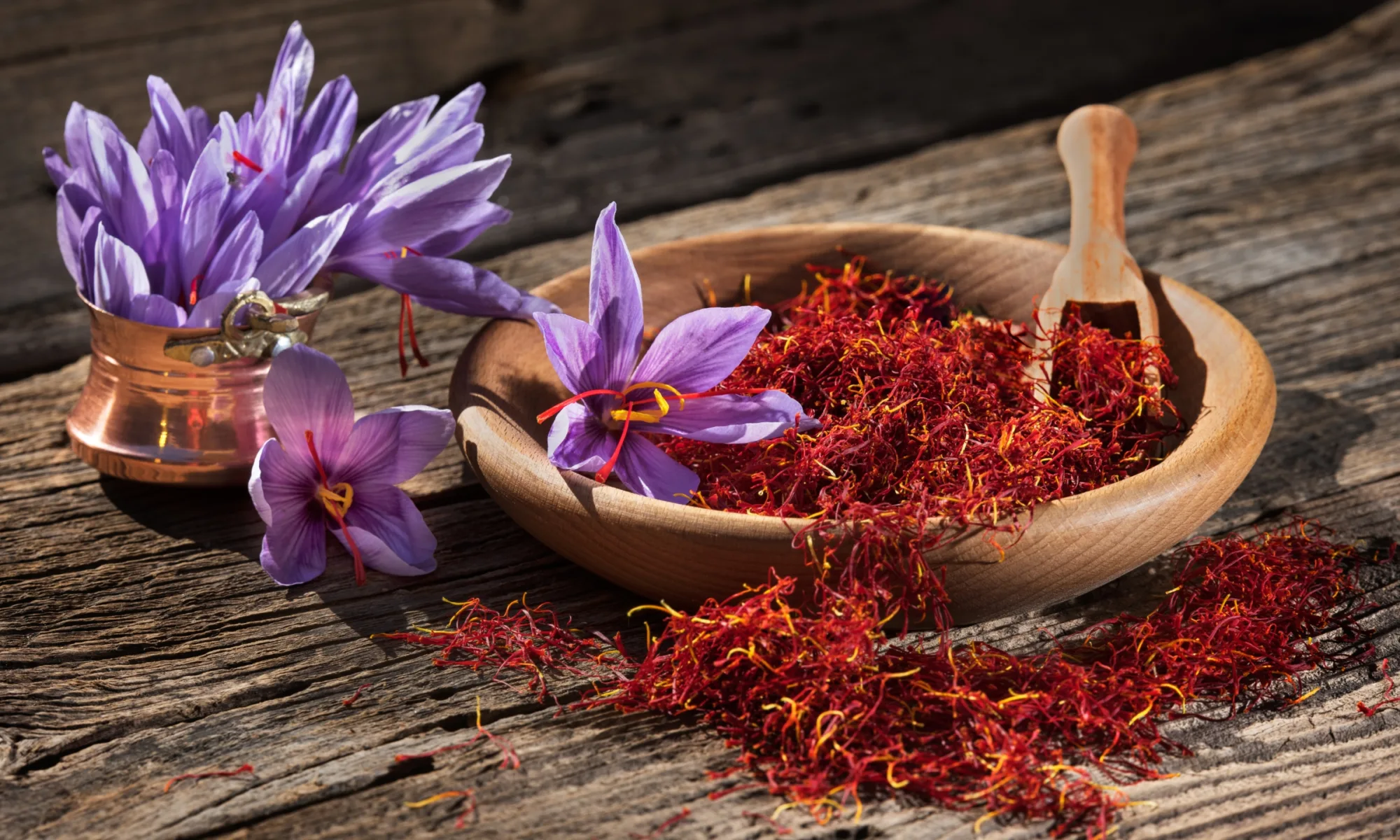 Saffron / Kesar (Crocus sativus L.)