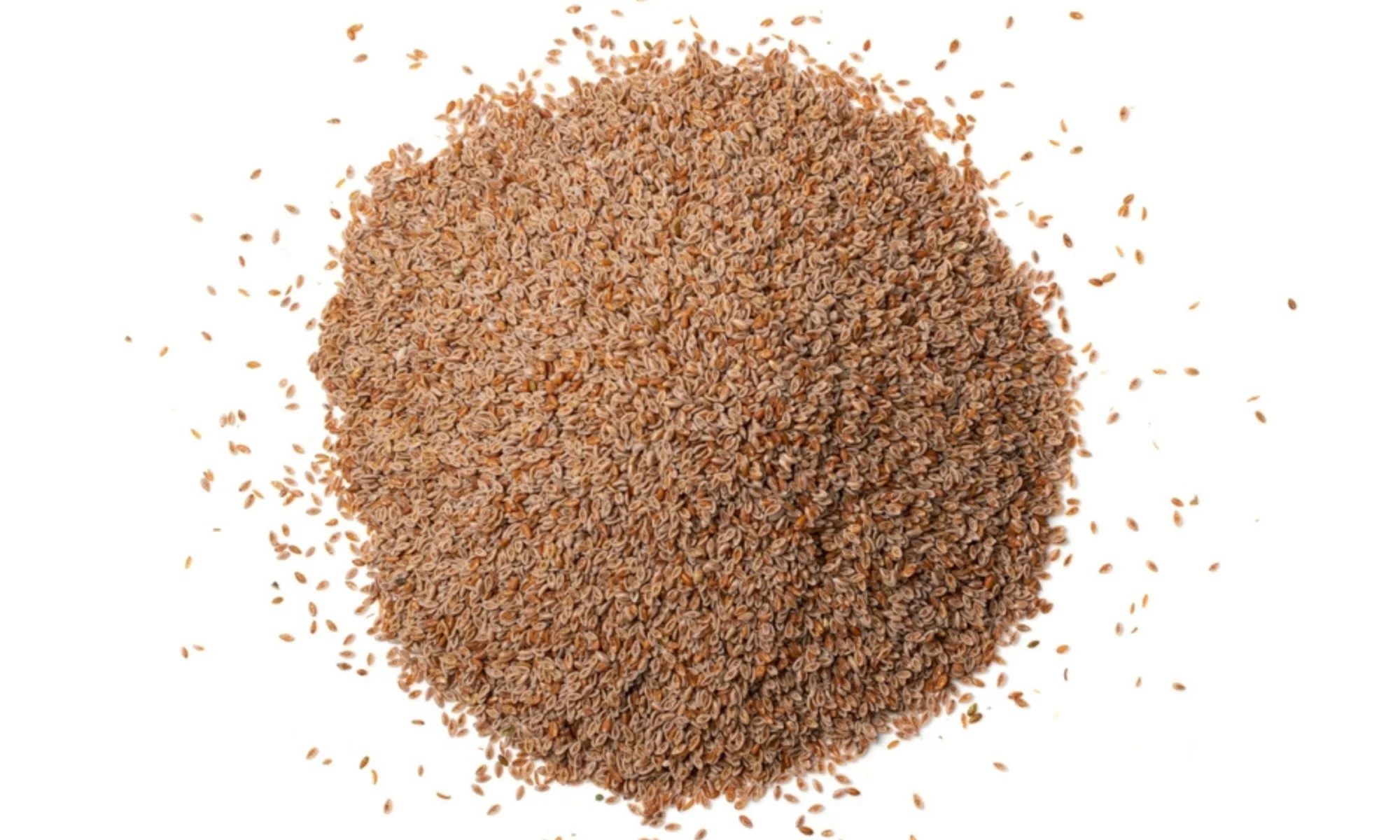 Isabgol (Plantago ovata)