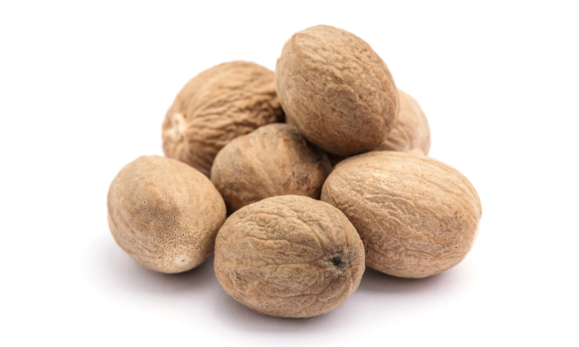 JAIPHAL / Nutmeg (Myristica fragrans)