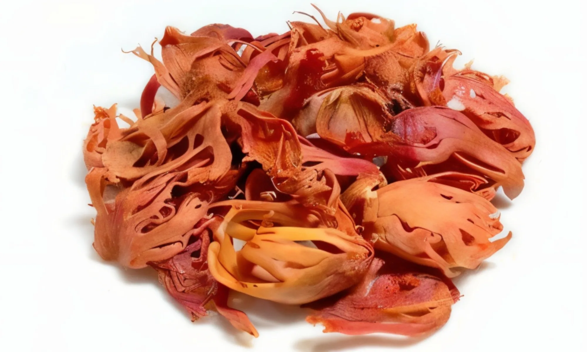 Javitri (Myristica fragrans – Arillus)