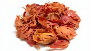 Javitri (Myristica fragrans – Arillus)