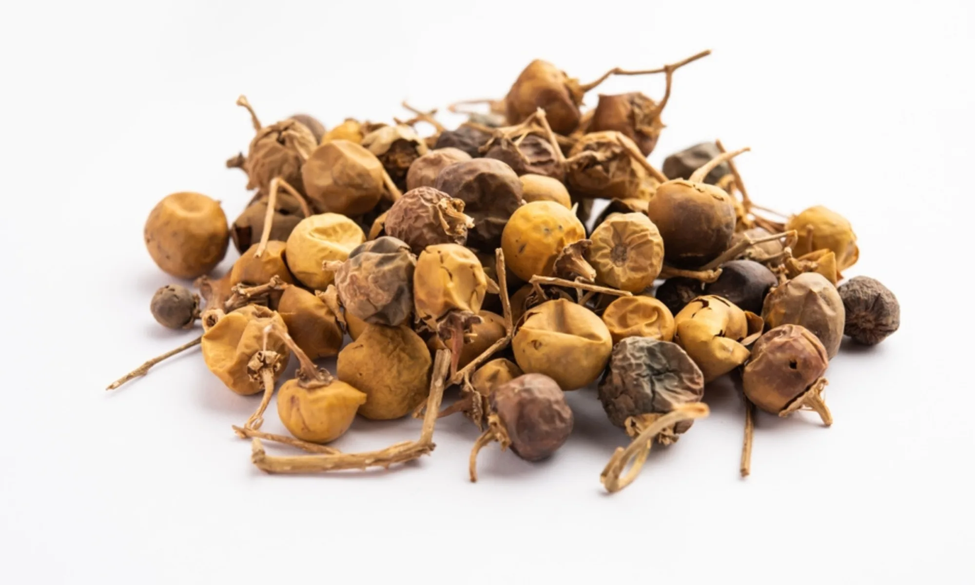 Kantkari (Solanum xanthocarpum)