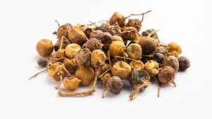 Kantkari (Solanum xanthocarpum)