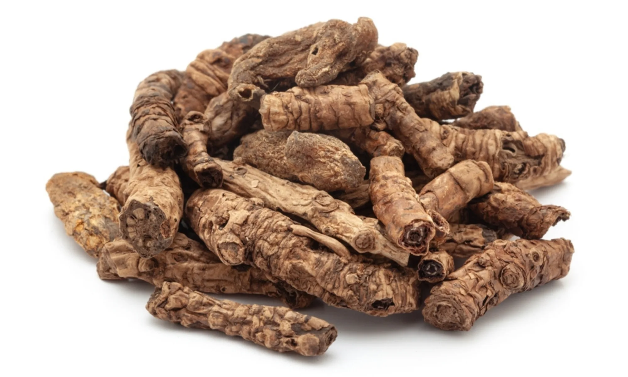 Katuki (Picrorhiza kurroa)