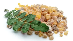Sallaki (Boswellia serrata)