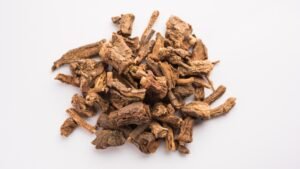 Anantmool (Hemidesmus indicus)