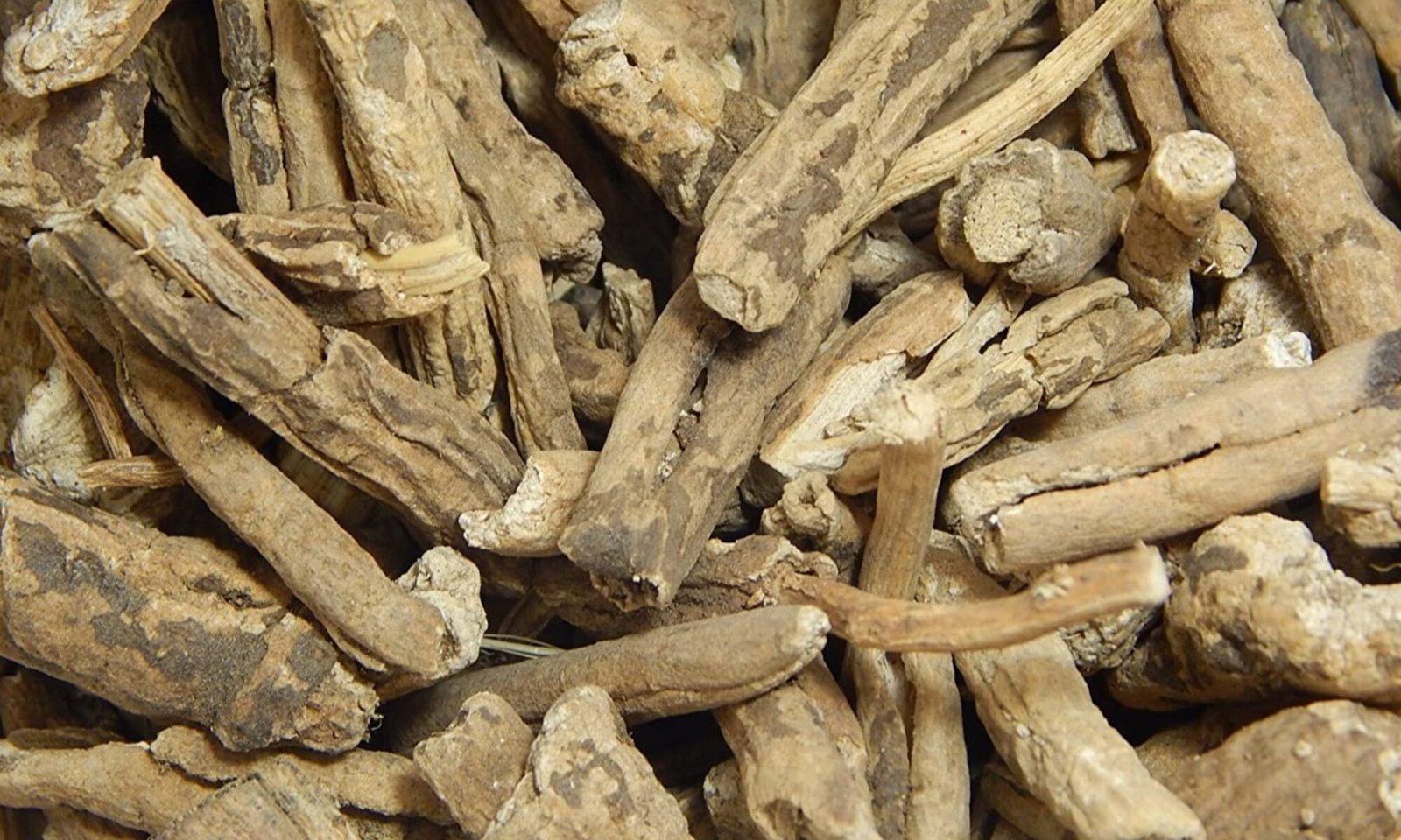 Nishoth (Operculina turpethum)