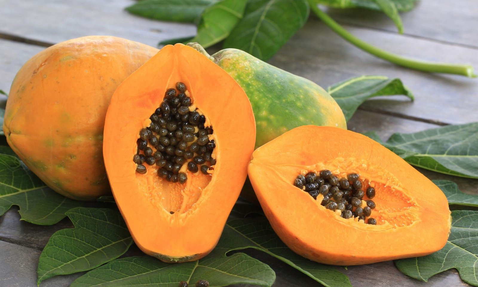 PAPAYA (Carica papaya)