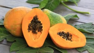 PAPAYA (Carica papaya)