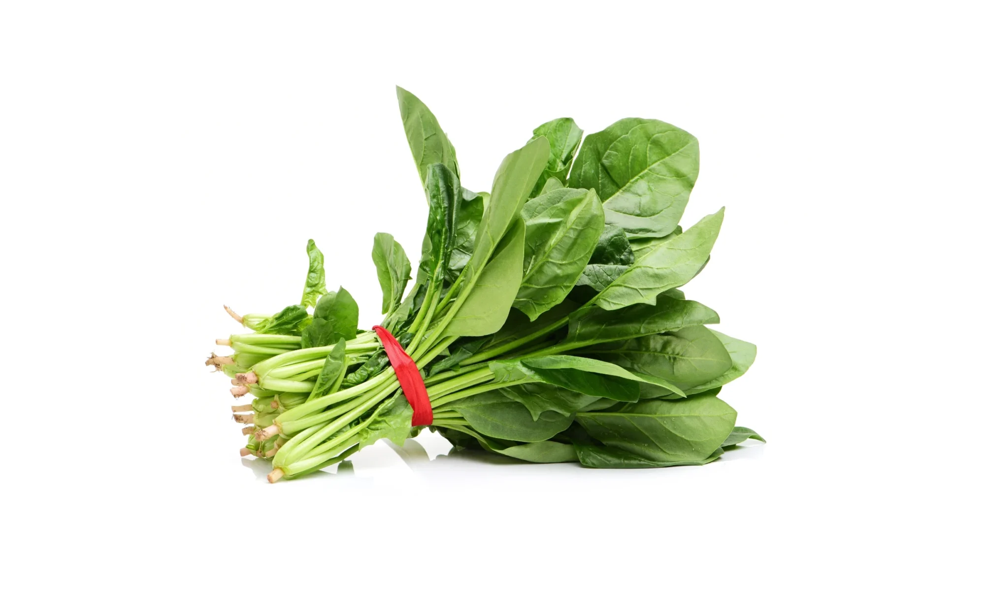 Palak ( Spinacea oleracea )