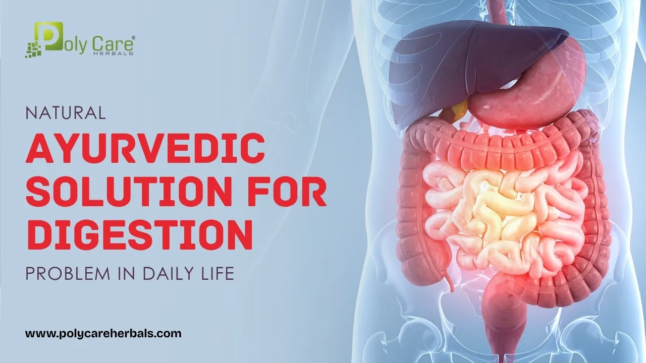 Natural Ayurvedic Solution for Digestion Problems in Daily Life