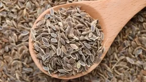 Suva ( Anethum Sowa)