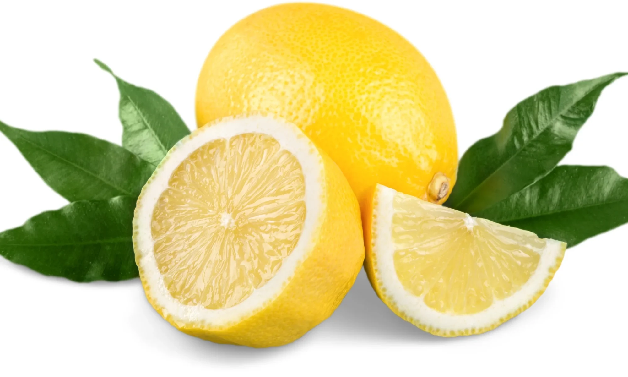 Lemon (Citrus limon (L.) Osbeck)