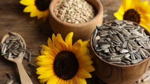 Sunflower Seeds