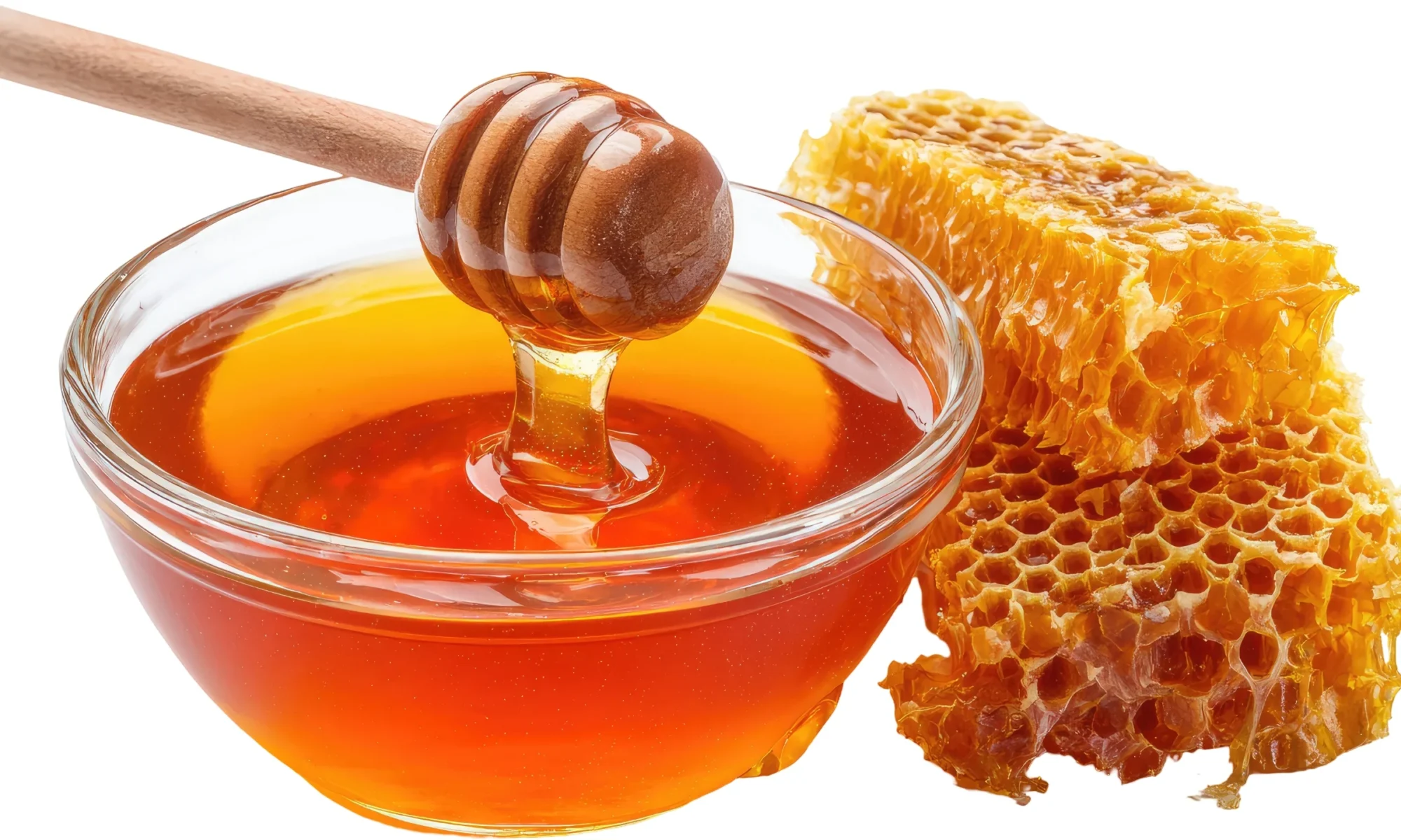 HONEY (Apis mellifera)